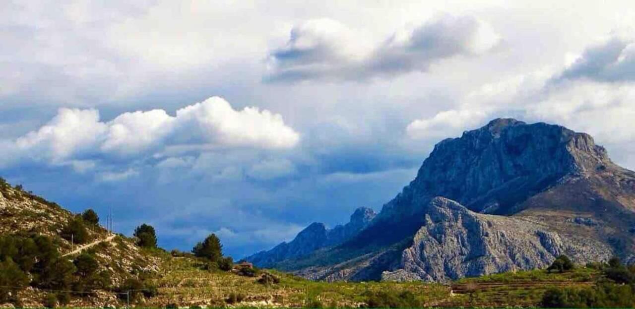 Casa Rural “Ca Robert” Callosa de Ensarriá 외부 사진